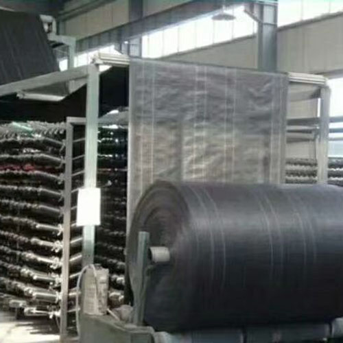 闃茶崏甯?6 闃茶崏甯?6